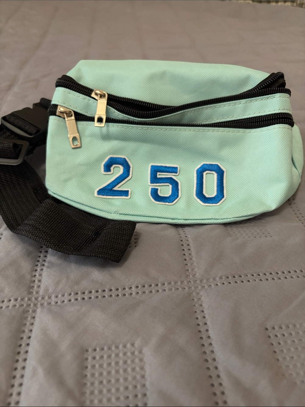 Burn Boot Camp Mint Blue '250' Fanny Pack Waist Bag